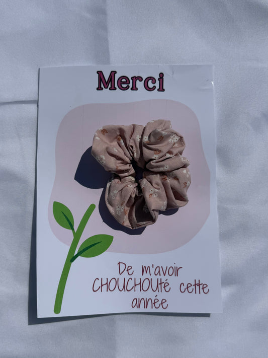 carte à chouchou alba