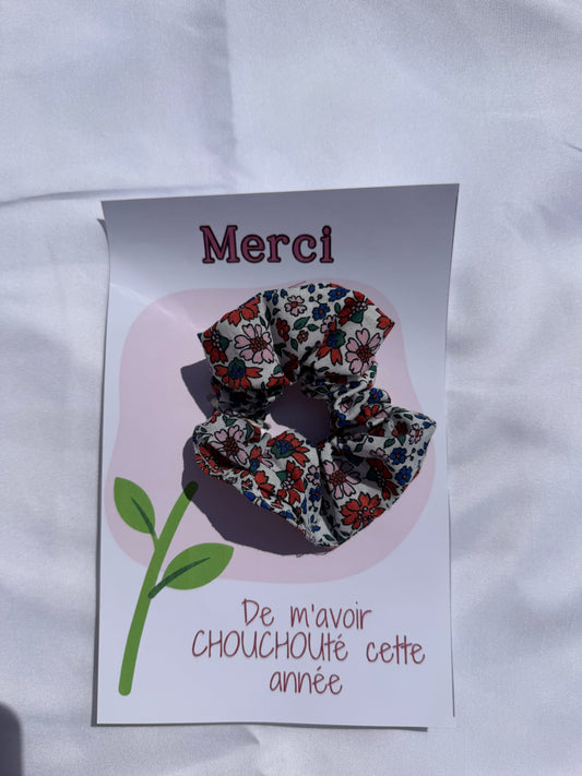 carte à chouchou sophie